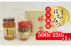 はちみつ 国産 セット 500g 250g 化粧箱入 天然 蜂蜜 純粋 蜂蜜ギフト 健康食品 美容 食品 無添加 栄養豊富 生はちみつ ハチミツ ギフト 贈答 人気 はちみつ お取り寄せ グルメ ヨーグルト パン スイーツ 徳島県 吉野川市