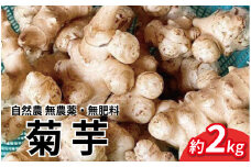 菊芋 2kg 自然農 芋 いも イモ 野菜 やさい ヤサイ こだわり 栽培期間中 農薬 不使用 お取り寄せ グルメ 送料無料 徳島県 吉野川市