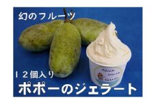 川島ジェラート　かわしまポポ―（１２個１箱セット）