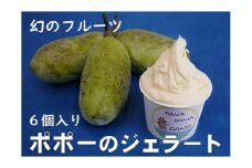 川島ジェラート　かわしまポポ―（６個１箱セット）