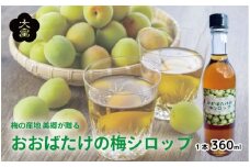 梅シロップ おおばたけの梅シロップ 360ml 1本 美郷 梅 シロップ うめ 果物 フルーツ ノンアルコール スイーツ お菓子 デザート ゼリー ジェラート アイス ヨーグルト かき氷 梅酒 ギフト 贈答 プレゼント 送料無料 徳島県 吉野川市