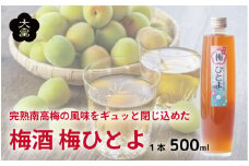 梅酒 梅ひとよ 500ml 1本 梅 南高梅 3年 熟成 うめ 果物 フルーツ うめしゅ お酒 酒  果実酒 さけ ビール ハイボール チューハイ 焼酎 日本酒 ウイスキー ワイン ギフト 贈答 プレゼント 送料無料 徳島県 吉野川市