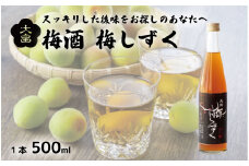 梅酒 梅しずく 500ml 1本 梅 熟成 3年 辛口 うめ 果物 フルーツ うめしゅ お酒 酒  果実酒 さけ ビール ハイボール チューハイ 焼酎 日本酒 ウイスキー ワイン ギフト 贈答 プレゼント 送料無料 徳島県 吉野川市