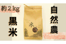 自然農黒米（約2kg入り）