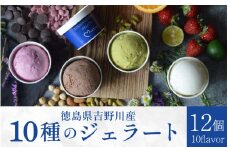 アイス アイスクリーム 12個 スイーツ ピスタチオ ミルク 和三盆 チョコレート ナッツ いちご デザート ジェラート 詰合せ 洋菓子 お菓子 ギフト プレゼント 贈答 送料無料 吉野川市 徳島県
