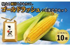 とうもろこし 米 セット ゴールドラッシュ 10本 約 4kg コメ 2合 お米 アキサカリ ごはん 先行予約 えがおセット トウモロコシ コーン スイートコーン 甘い とうもろこしご飯 レシピ付き 期間限定 夏 旬 野菜 鍋 炒め物 煮物 スープ 弁当 惣菜 おかず 健康 新鮮 国産 送料無料 吉野川市 徳島県