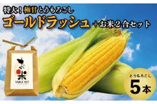 とうもろこし 米 セット ゴールドラッシュ 5本 約 2kg コメ 2合 お米 アキサカリ ごはん 先行予約 えがおセット トウモロコシ コーン スイートコーン 甘い とうもろこしご飯 レシピ付き 期間限定 夏 旬 野菜 鍋 炒め物 煮物 スープ 弁当 惣菜 おかず 健康 新鮮 国産 送料無料 吉野川市 徳島県