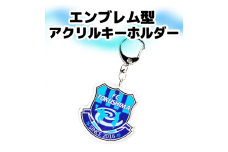 ＦＣ徳島 キーホルダーセット