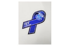ＦＣ徳島 カーマグネット