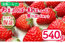 いちご 540g 紅ほっぺ あまえくぼ 食べ比べ セット ( 2026年 1月 発送開始 )  2パック 朝採れ 期間限定 人気 果物 フルーツ 新鮮 旬 冬 春 ケーキ ショートケーキ デザート ギフト 贈り物 贈答 イチゴ 苺 ストロベリー 徳島県 吉野川市 あんいちご園