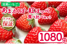 いちご 1080g 紅ほっぺ あまえくぼ 食べ比べ セット ( 2026年 1月 発送開始 )  4パック 朝採れ 期間限定 人気 果物 フルーツ 新鮮 旬 冬 春 ケーキ ショートケーキ デザート ギフト 贈り物 贈答 イチゴ 苺 ストロベリー 徳島県 吉野川市 あんいちご園