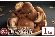 訳あり きのこ しいたけ 1kg （ 250g × 4袋 ） 先行予約 キノコ 椎茸 生しいたけ 生 シイタケ だし ダシ 焼きしいたけ 肉詰め 鍋 味噌汁 スープ 野菜 新鮮 旬 食べ応え 厚い 肉厚 うまみ セット 菌床しいたけ マルイ園 徳島県 吉野川市