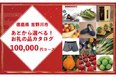 ゆっくりえらべる カタログ 10万円 コース あとから選べる 鮮魚 肉 米 酒 定期便 スイーツ フルーツ 選べる ギフト セレクト 【 徳島県 吉野川市 】