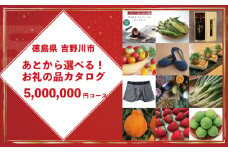 ゆっくりえらべる カタログ 500万円 コース あとから選べる 鮮魚 肉 米 酒 定期便 スイーツ フルーツ 選べる ギフト セレクト 【 徳島県 吉野川市 】