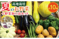 野菜 夏野菜 10種 程度 + 加工品 2種 ～ 3種 セット 高地野菜 栽培期間中 農薬不使用 露地栽培 健康 きゅうり ピーマン ししとう オクラ ナス ズッキーニ じゃがいも へちま トマト かぼちゃ 玉ねぎ 梅干し 梅酢 紫蘇梅酢 乾燥菊芋 干し大根 詰合せ サラダ カレー 煮物 くららファーム 徳島県 吉野川市