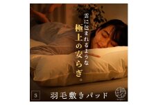 羽毛 ダウン 敷きパッド シングル 1枚 冬 冬用 軽量 保温 あったか 寝具 敷布団 敷き布団 快眠 グッズ 敷パッド 立体 キルト 厚手 軽い 温かい 吸湿 放湿 アイボリー リサイクルダウン 徳島県