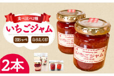 いちご ジャム あまえくぼ 紅ほっぺ 2本 ( 2025年 1月 発送開始 ) 期間限定 人気 果物 フルーツ 新鮮 旬 冬 春 ケーキ ショートケーキ デザート ギフト 贈り物 贈答 イチゴ 苺 ストロベリー 徳島県 吉野川市 あんいちご園