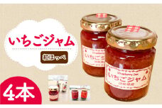 いちご ジャム 紅ほっぺ 4本  ( 2025年 1月 発送開始 )  いちごジャム 期間限定 人気 果物 フルーツ 新鮮 旬 冬 春 ケーキ ショートケーキ デザート ギフト 贈り物 贈答 イチゴ 苺 ストロベリー 徳島県 吉野川市 あんいちご園