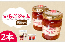 いちご ジャム 紅ほっぺ 2本  ( 2025年 1月 発送開始 )  いちごジャム 期間限定 人気 果物 フルーツ 新鮮 旬 冬 春 ケーキ ショートケーキ デザート ギフト 贈り物 贈答 イチゴ 苺 ストロベリー 徳島県 吉野川市 あんいちご園