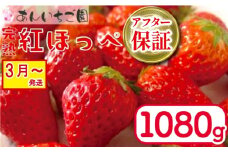 いちご 紅ほっぺ 4パック 1080g  ( 2026年 3月 発送開始 ) 期間限定 人気 果物 フルーツ 新鮮 旬 冬 春 ケーキ ショートケーキ デザート ギフト 贈り物 贈答 イチゴ 苺 ストロベリー 徳島県 吉野川市 あんいちご園