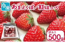 訳あり いちご 冷凍 紅ほっぺ あまえくぼ 500g 冷凍いちご 人気 果物 フルーツ 冷凍フルーツ フローズン スムージー ヨーグルト アイスクリーム 新鮮 旬 冬 春 ケーキ ショートケーキ デザート ギフト 贈り物 贈答 イチゴ 苺 ストロベリー 徳島県 吉野川市 あんいちご園