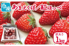 訳あり いちご 冷凍 紅ほっぺ あまえくぼ 1kg 冷凍いちご 人気 果物 フルーツ 冷凍フルーツ フローズン スムージー ヨーグルト アイスクリーム 新鮮 旬 冬 春 ケーキ ショートケーキ デザート ギフト 贈り物 贈答 イチゴ 苺 ストロベリー 徳島県 吉野川市 あんいちご園