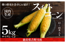 とうもろこし サニーショコラライラ 5kg 12～16本 極甘 スイートコーン コーン 生食用 野菜 やさい サラダ スープ コーンスープ 生 BBQ アウトドア 旬 朝採り 人気 お取り寄せ 先行予約 産地直送 期間限定 おすすめ 2025年5月発送予定