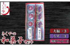 和菓子 セット 大福 ういろ うず 詰合せ ういろう 阿波ういろ あんこ 白あん こしあん 餡子 お菓子 デザート スイーツ 小豆 茶菓子 お茶請け ギフト 贈答 徳島県 吉野川市