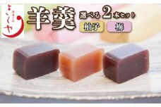 和菓子 羊羹 柚子羊羹 梅羊羹 ようかん 2本 セット 詰合せ あんこ 餡子 こしあん お菓子 デザート スイーツ 小豆 茶菓子 お茶請け ギフト 贈答 徳島県 吉野川市