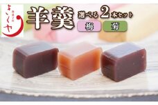 和菓子 羊羹 梅羊羹 菊羊羹 ようかん 2本 セット 詰合せ あんこ 餡子 こしあん お菓子 デザート スイーツ 小豆 茶菓子 お茶請け ギフト 贈答 徳島県 吉野川市