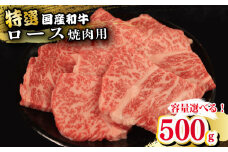 牛肉 特選 ロース 焼肉用 500g えらべる容量 焼肉 国産和牛 和牛 焼き肉 赤身 にく ぎゅう うし バーベキュー BBQ やきにく お祝い イベント パーティー おかず おつまみ 贈答 プレゼント 徳島県 吉野川市