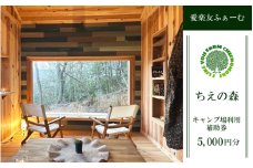 キャンプ場 利用券 5000円分 宿泊券 徳島 観光 旅行 チケット 露天風呂 温泉 キャンプ コテージ テント BBQ アウトドア アクティビティ 旅行券 国内旅行 徳島県 吉野川市 愛楽友ふぁーむ ちえの森