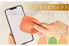 スマホクリーナー キーホルダー おまかせ セレクト キャラクター 画面クリーナー 液晶クリーナー スマホ 汚れ除去 指紋防止 クリーニングクロス  画面保護 静電気防止 スマホアクセサリー タブレット スマートフォン タブレット ノートパソコン デスクトップPC スマートウォッチ メガネ拭き ほこり除去 携帯クリーナー 徳島県 吉野川市