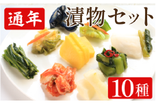漬物 通年 セット 10種 白菜うまみ漬 ゆず白菜 野沢菜ミックス たくあん漬 浅漬大根 浅漬なす 胡瓜食べごろサイズ 本格キムチ 白菜キムチ小袋 野沢菜わさび風味 小袋 ご飯 お供 健康食品 食物繊維たっぷり 低カロリー 国産野菜 保存食 日本食 伝統 お取り寄せギフト 漬物通販 おすすめ漬物 人気漬物 お取り寄せ 徳島県 吉野川市