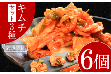 キムチ 3種 セット 各2個ずつ 計6個 本格キムチ カッパキムチ 白菜キムチ きゅうりキムチ ピリ辛 おつまみ 食物繊維たっぷり 韓国 乳酸菌 健康 ご飯 お供 旨味 国産野菜 キムチ鍋用 韓国料理 漬物 発酵食品 ダイエット 低カロリー ビビンバ 焼肉 キムチ鍋 鍋 炒め物 料理 徳島県 吉野川市