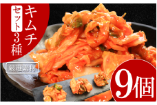 キムチ 3種 セット 各3個ずつ 計9個 本格キムチ カッパキムチ 白菜キムチ きゅうりキムチ ピリ辛 おつまみ 食物繊維たっぷり 韓国 乳酸菌 健康 ご飯 お供 旨味 国産野菜 キムチ鍋用 韓国料理 漬物 発酵食品 ダイエット 低カロリー ビビンバ 焼肉 キムチ鍋 鍋 炒め物 料理 徳島県 吉野川市