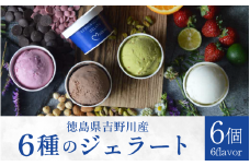 ジェラート 詰め合わせ 6個 スイーツ ピスタチオ ミルク 和三盆 チョコレート すだち デザート アイス 詰合せ 洋菓子 お菓子 ギフト プレゼント 贈答 送料無料 吉野川市 徳島県