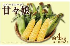 とうもろこし スイートコーン 甘々娘 4kg コーン 野菜 やさい 新鮮 サラダ 醤油 バター 砂糖 茹でとうもろこし 焼きもろこし 天ぷら スープ コーンスープ かんかんむすめ カンカン娘 BBQ 焼き肉 アウトドア キャンプ 特産品 産地直送 徳島県 吉野川市