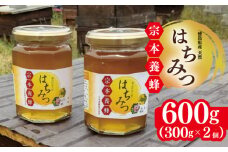 はちみつ 国産 300g 2個 計600g 天然 蜂蜜 純粋 蜂蜜ギフト 健康食品 美容 食品 無添加 栄養豊富 生はちみつ ハチミツ ギフト 贈答 人気 はちみつ お取り寄せ グルメ ヨーグルト パン スイーツ 徳島県 吉野川市