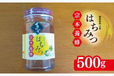 はちみつ 国産 500g 天然 蜂蜜 純粋 蜂蜜ギフト 健康食品 美容 食品 無添加 栄養豊富 生はちみつ ハチミツ ギフト 贈答 人気 はちみつ お取り寄せ グルメ ヨーグルト パン スイーツ 徳島県 吉野川市