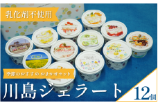 ジェラート  詰め合わせ おまかせ 12個 セット 120ml 川島ジェラート アイスクリーム アイス シャーベット デザート スイーツ お菓子 洋菓子 おやつ くずもち キシリトール ひまわり 桜 入学 ブルーチーズ くるみ ギフト プレゼント 贈答 お取り寄せ グルメ 季節限定 冷凍 徳島県 吉野川市 A sweets factory