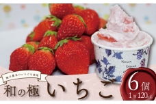 ジェラート  いちご 和の極 6個 120ml 川島ジェラート アイスクリーム アイス シャーベット デザート スイーツ お菓子 洋菓子 おやつ くずもち ミルク バニラ いちご 苺 ストロベリー ギフト プレゼント 贈答 お取り寄せ グルメ 季節限定 冷凍 徳島県 吉野川市 A sweets factory
