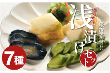 浅漬け 7種 さっぱり 白菜うまみ漬 ゆず白菜 野沢菜ミックス 浅漬大根 浅漬なす 胡瓜食べごろサイズ 野沢菜わさび風味 国産野菜 ヘルシー 食物繊維たっぷり 低カロリー 健康食品 ご飯 お供 おつまみ 人気 季節 野菜 簡単 漬け物 お手軽 徳島県 吉野川市