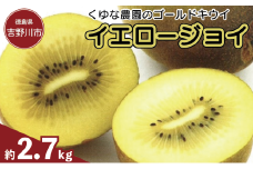 訳あり ゴールドキウイ 先行予約 約2.7kg 2025年11月上旬～発送 イエロージョイ キウイフルーツ キウイ フルーツ イエロージョイ 糖度 16度 期間限定 果物 ビタミンC 新鮮 旬 デザート 国産 ギフト 贈り物 送料無料 吉野川市 徳島県 くゆな農園