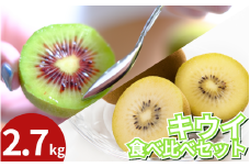 訳あり キウイフルーツ 食べ比べ セット2.7kg 先行予約 2025年10月上旬～ 年内に発送予定 ゴールデンキウイ 紅妃 レインボーレッド キウイ 国産 果物 デザート スイーツ ケーキ ゼリー ジュース ジャム シャーベット アイス  フルーツ ギフト プレゼント 贈答 送料無料 徳島県 吉野川市 くゆな農園