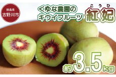 訳あり キウイフルーツ 紅妃 3.5kg 先行予約 2025年10月上旬～ 年内に発送予定 紅妃 レインボーレッド キウイ 国産 果物 デザート スイーツ ケーキ ゼリー ジュース ジャム シャーベット アイス  フルーツ ギフト プレゼント 贈答 送料無料 徳島県 吉野川市 くゆな農園