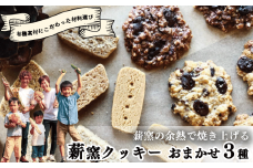【こだわり有機素材を使用】 薪窯の余熱で焼き上げる 薪窯 クッキー おまかせ 3種 ～食べられない食材がある方にもおすすめ、滋味いっぱいのおやつ～ 有機 オートミール 北海道産有機小麦粉  太白 ごま油 カカオ 全粒粉 小麦 レーズン クルミ カシューナッツ 詰め合わせ オーガニック 手作り 朝ごはん おやつ 徳島県 吉野川市