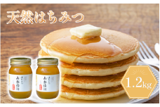 はちみつ 600g×2 1.2kg 国産 蜂蜜 ギフト プレゼント 個包装 無添加 無農薬 健康食品 山都物語 おすすめ