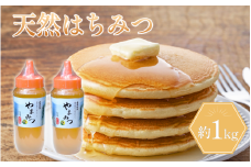 はちみつ 530g×2本 約1kg ボトルタイプ  国産 蜂蜜 ギフト プレゼント 個包装 無添加 無農薬 健康食品 山都物語 おすすめ