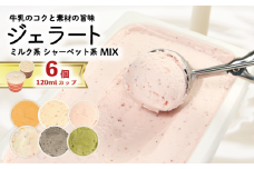 ジェラート 詰め合わせ 120ml 選べる 個数 6個 冷凍 フルーツ ギフト プレゼント 贈答 お取り寄せ グルメ 季節限定 冷凍 徳島県 吉野川市 株式会社マイスター社
